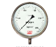 SS PRECISION PG  MODEL- ANI01-01  SSPGSD / SB / AD