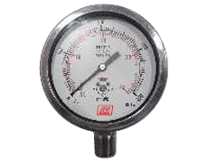 SS CASE BRASS PG BRASS CAPSULE  MODEL-I09-02  / CAPGSD / AD