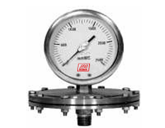 ALL SS PG, DIAPHRAGM TYPE,  LOW PRESSURE MODEL- I16-01  (MACHINED FLANGE)